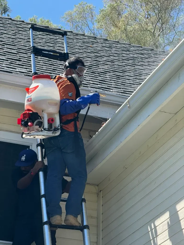 GoNano treatment being sprayed on a roof in Redlands